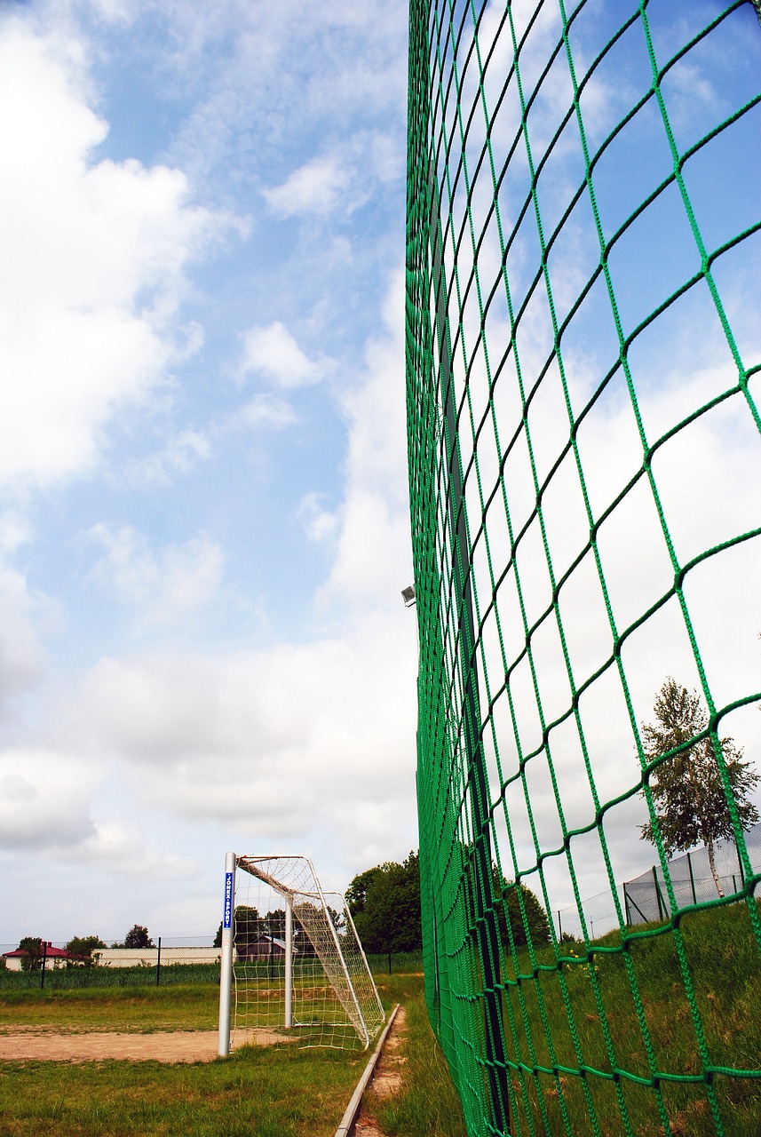 十分看重的 十分看重的