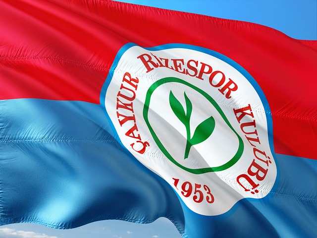 多特蒙德的 多特蒙德的