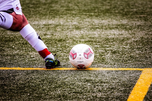 激烈的角逐 激烈的角逐