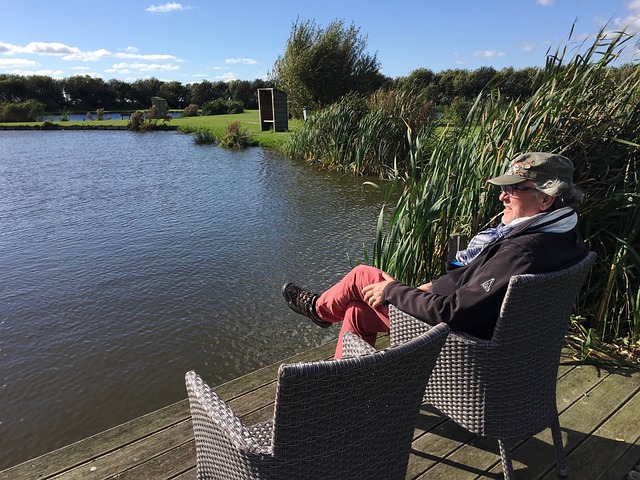 庭的和谐美 庭的和谐美