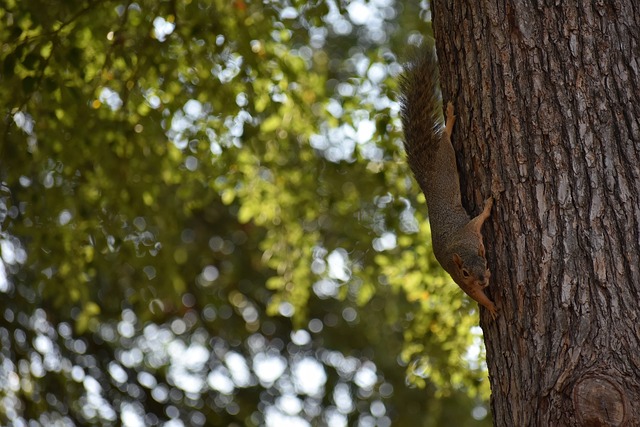入自己的职 入自己的职
