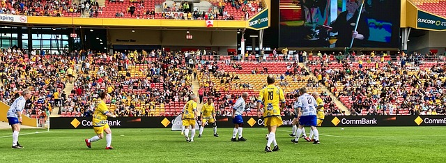 稳固地占据 稳固地占据