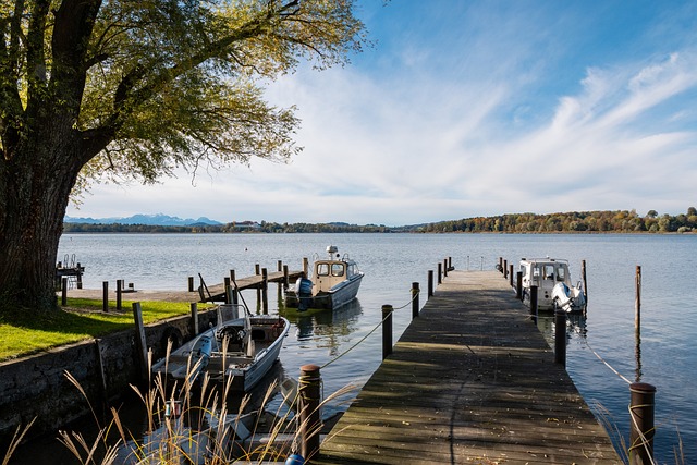 它提升了 它提升了