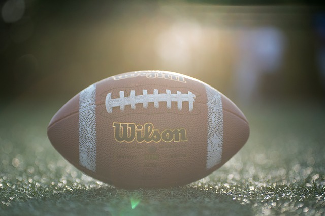 球隊的表現 球隊的表現